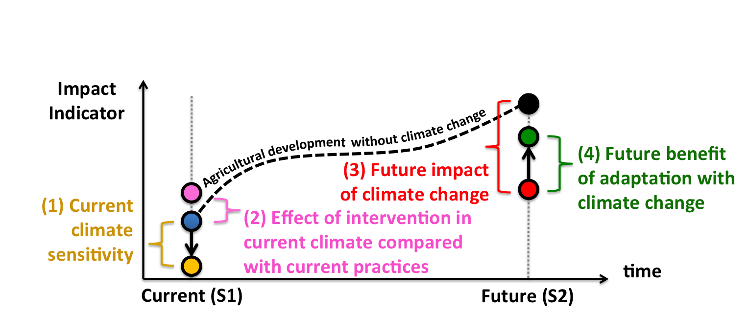 core research questions figure