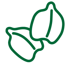 chickpea icon